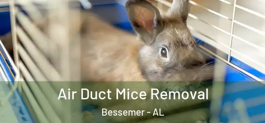  Air Duct Mice Removal Bessemer - AL
