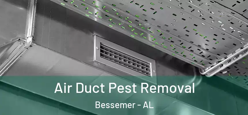 Air Duct Pest Removal Bessemer - AL