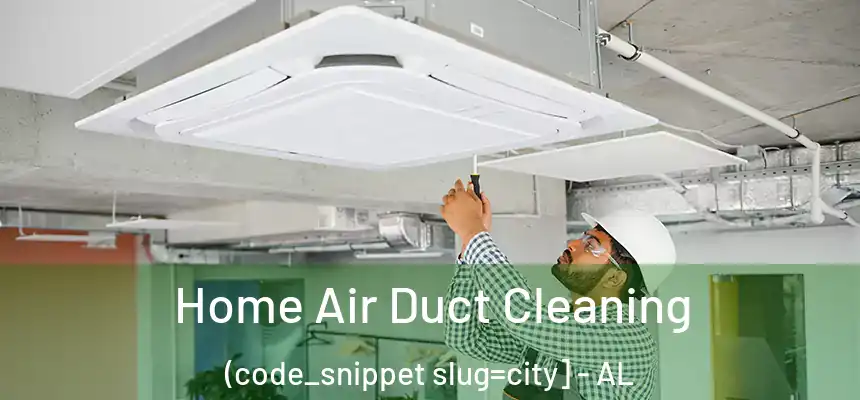  Home Air Duct Cleaning (code_snippet slug=city] - AL