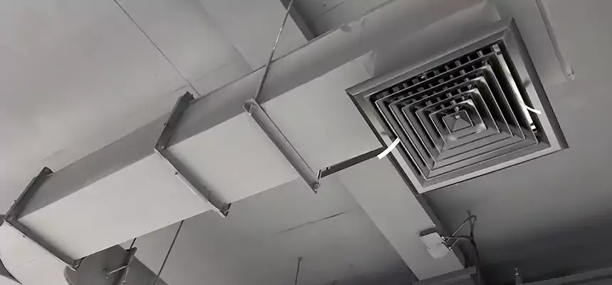 Restorative Allergy Relief Vent Cleaning – Coil, Blower & Housing Detail in Bessemer