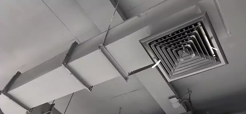 Our Pest Removal From Ducts Services in Bessemer, AL