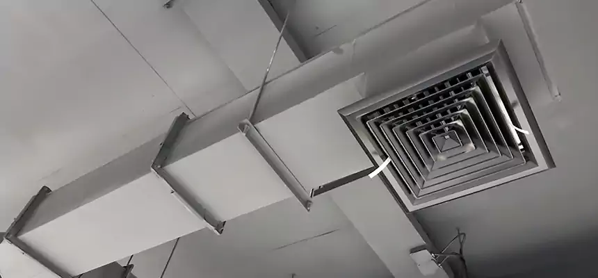 Our Rodent Droppings In Vents Services in Bessemer, AL