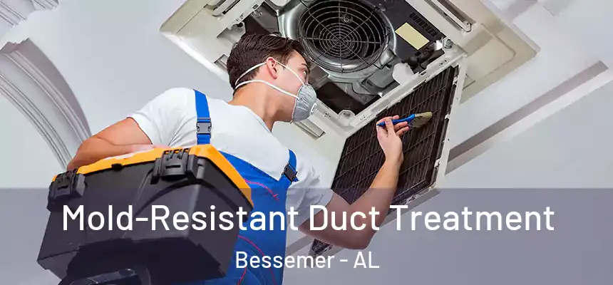  Mold-Resistant Duct Treatment Bessemer - AL