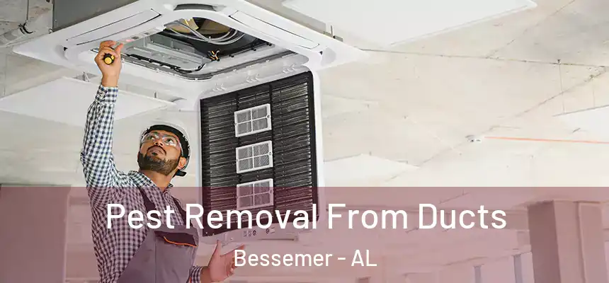  Pest Removal From Ducts Bessemer - AL