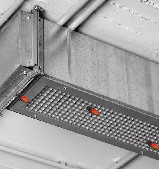 Affordable Insect Removal from Air Ducts in Bessemer, AL