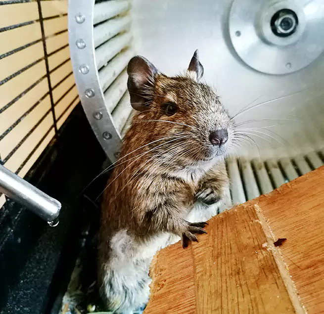 Why Homeowners & Businesses Trust Us Bessemer, AL